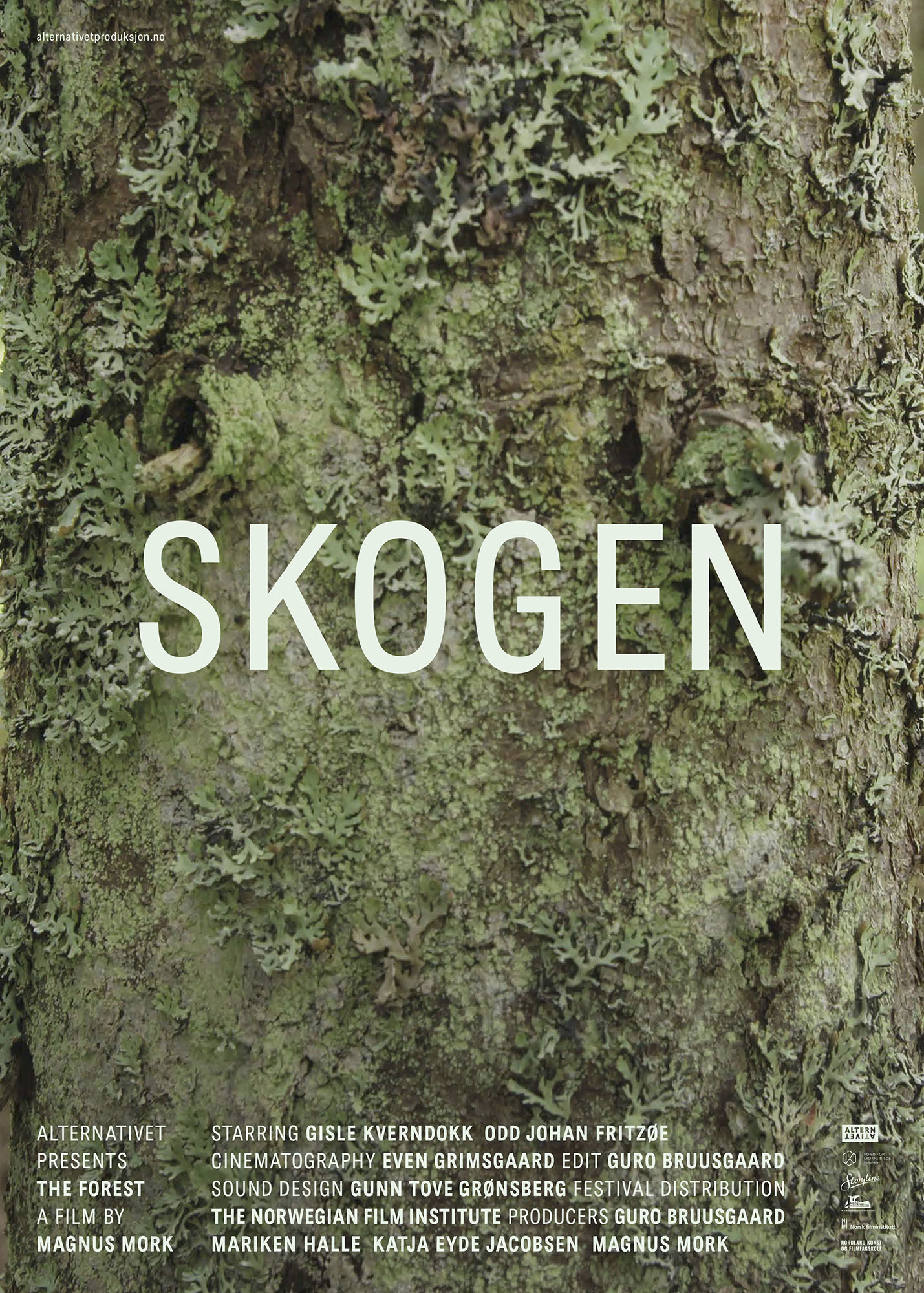 постер Skoge